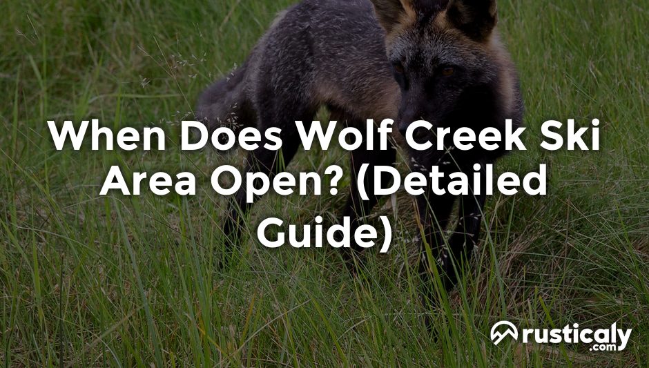 when does wolf creek ski area open