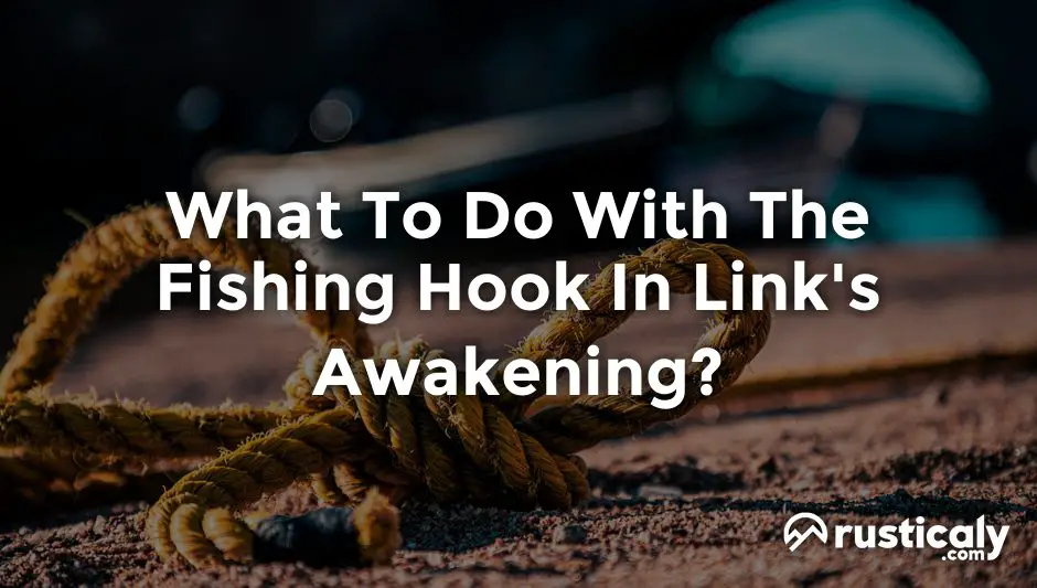 what to do with the fishing hook in link's awakening