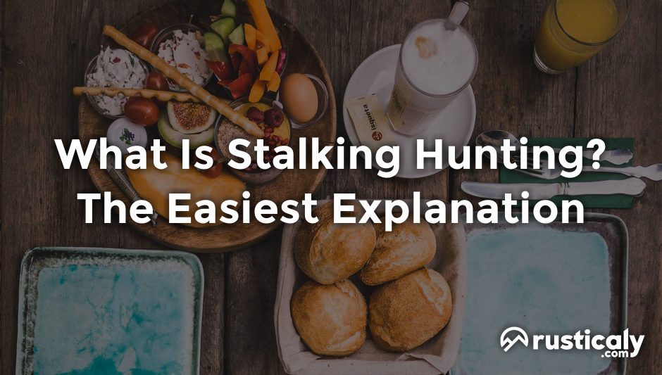 what is stalking hunting