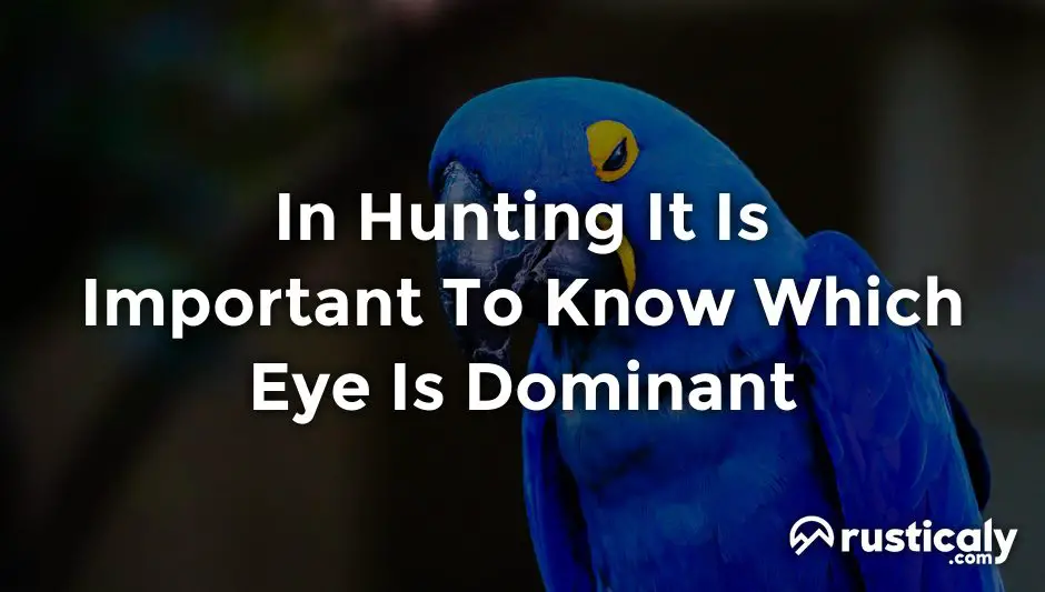 in hunting it is important to know which eye is dominant