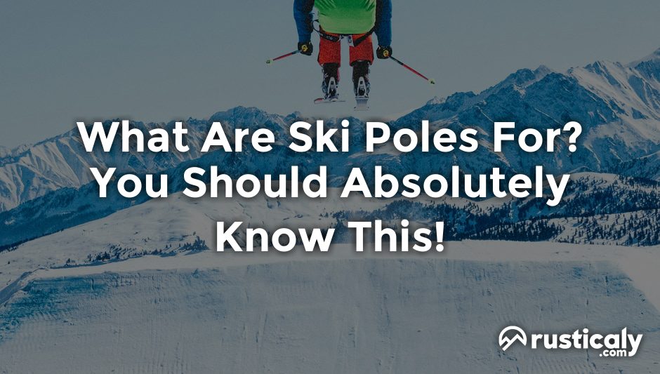 what are ski poles for