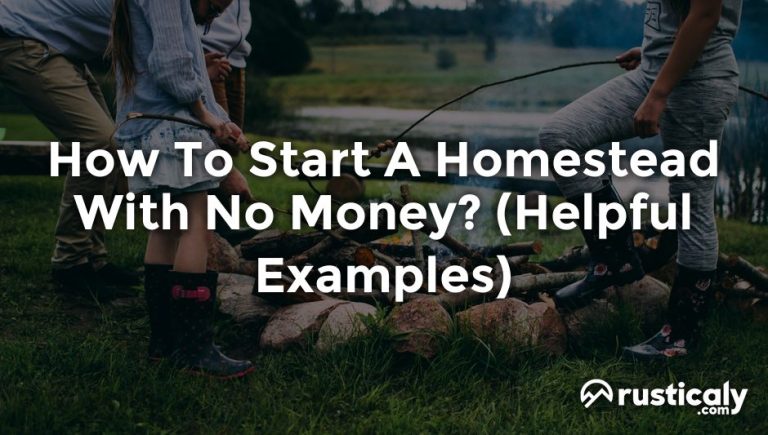 how to start a homestead with no money
