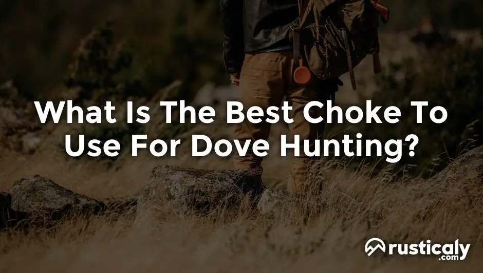 what is the best choke to use for dove hunting