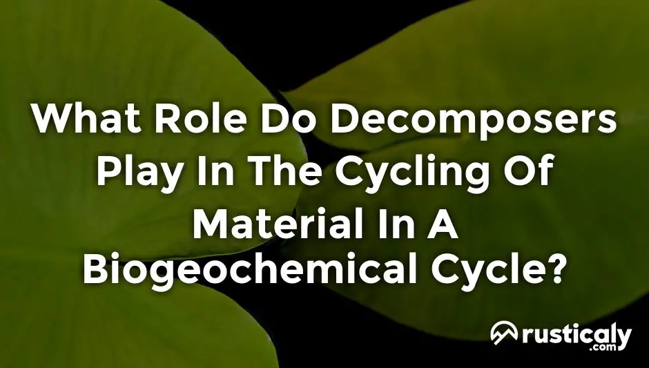 what role do decomposers play in the cycling of material in a biogeochemical cycle