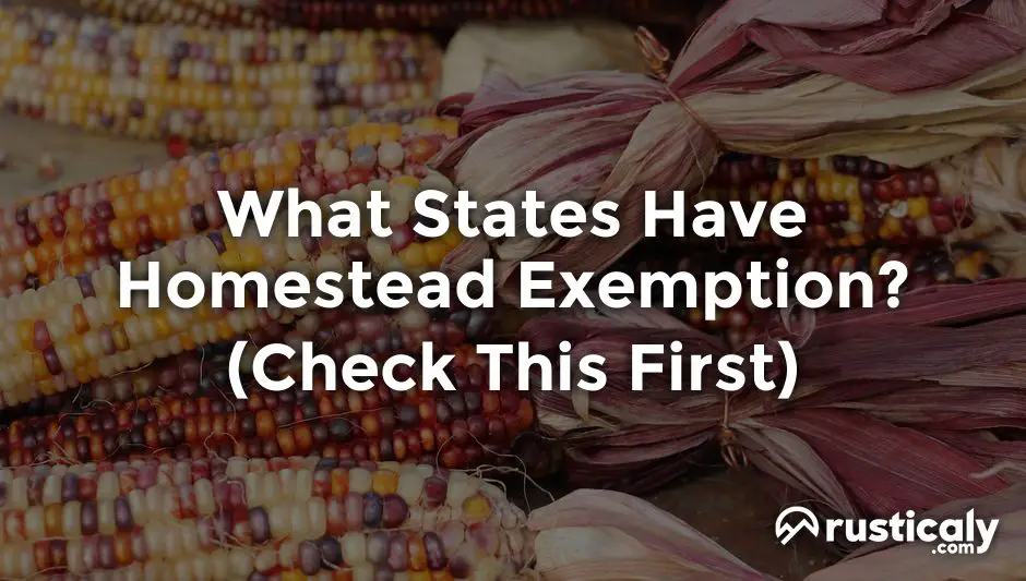 what states have homestead exemption