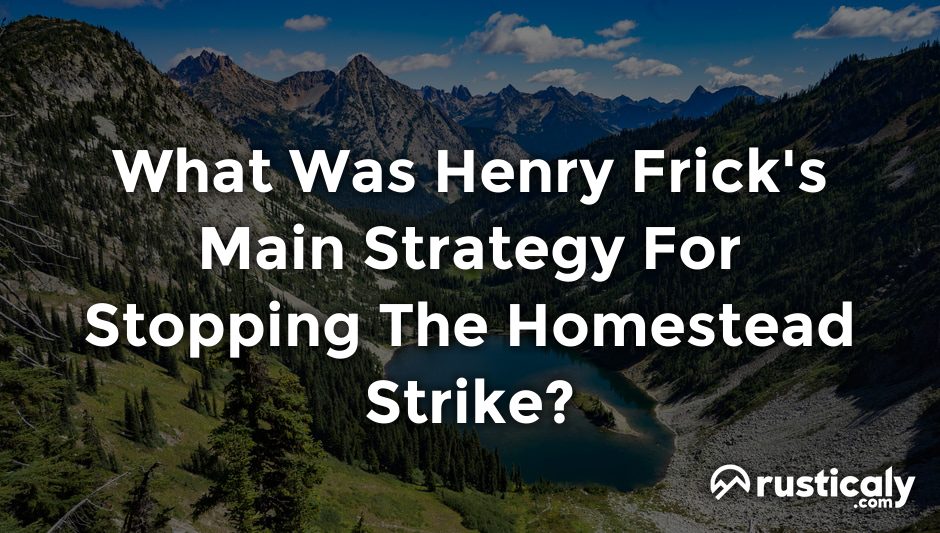 what was henry frick's main strategy for stopping the homestead strike?