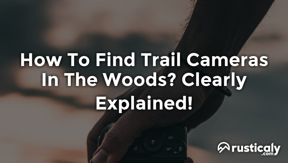 how to find trail cameras in the woods