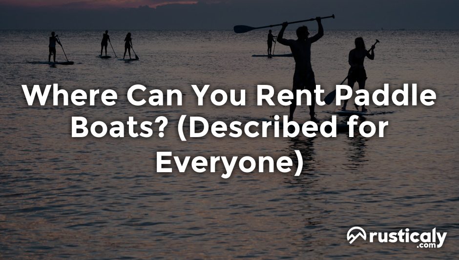 where can you rent paddle boats