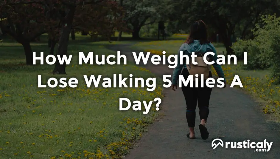 how much weight can i lose walking 5 miles a day