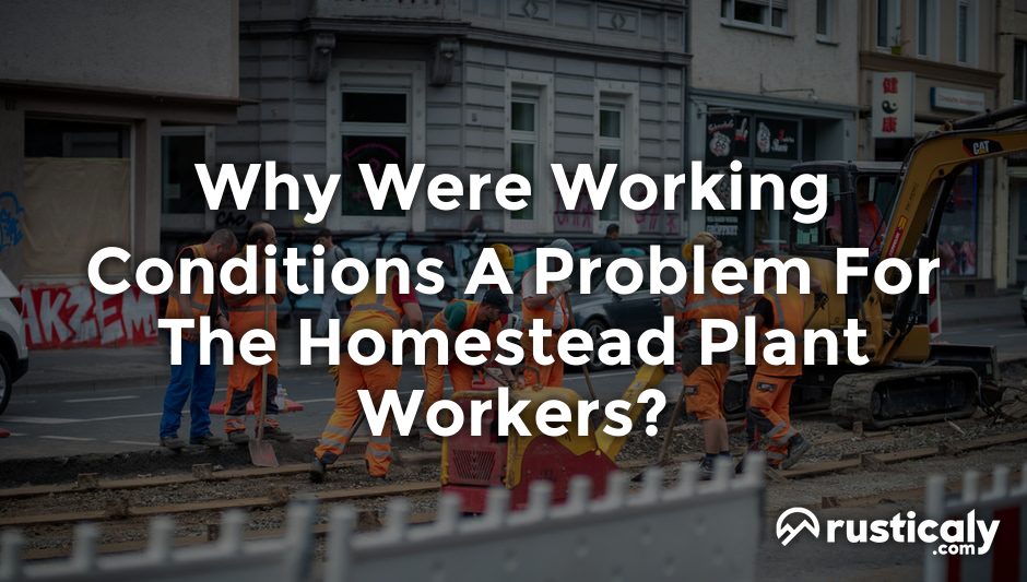 why were working conditions a problem for the homestead plant workers