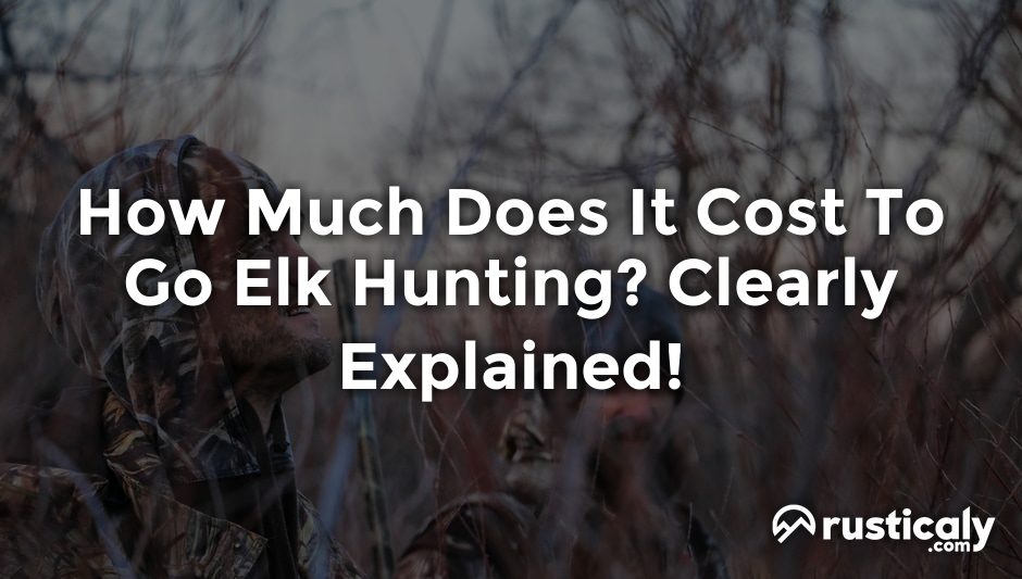 how much does it cost to go elk hunting