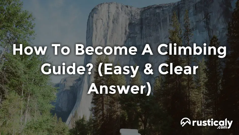 how to become a climbing guide