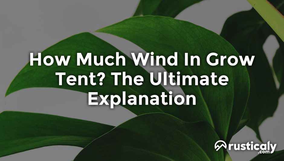 how much wind in grow tent