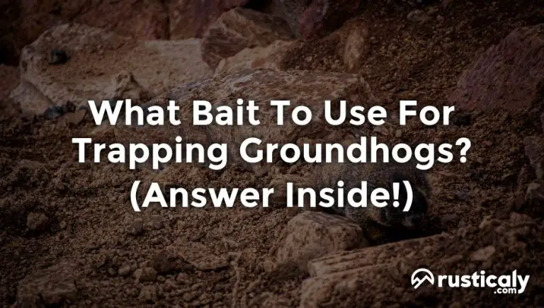 what bait to use for trapping groundhogs