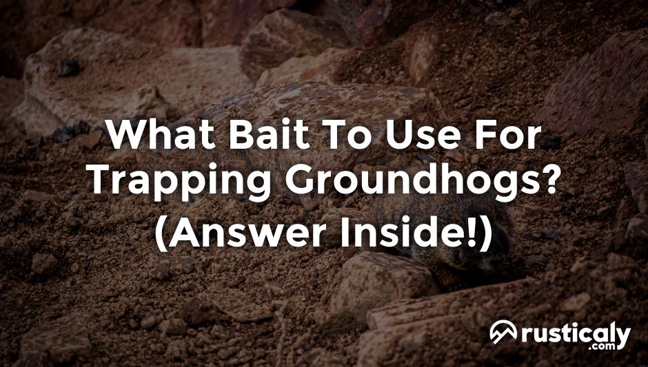 what bait to use for trapping groundhogs
