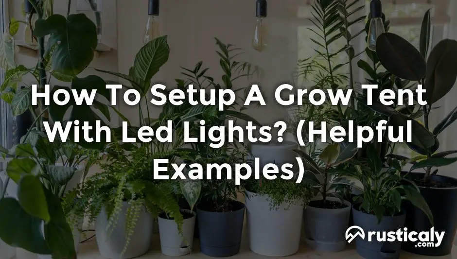 how to setup a grow tent with led lights