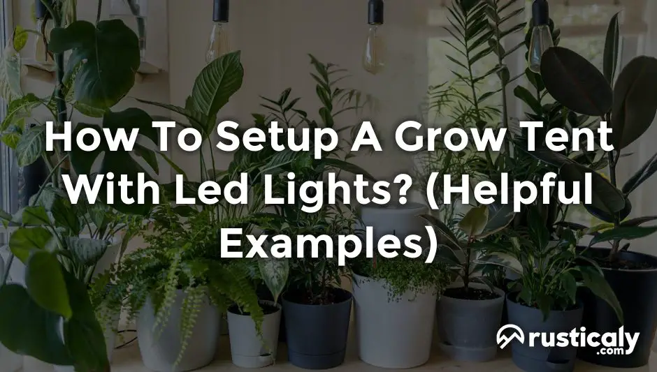 How To Setup A Grow Tent With Led Lights? (Check This First)