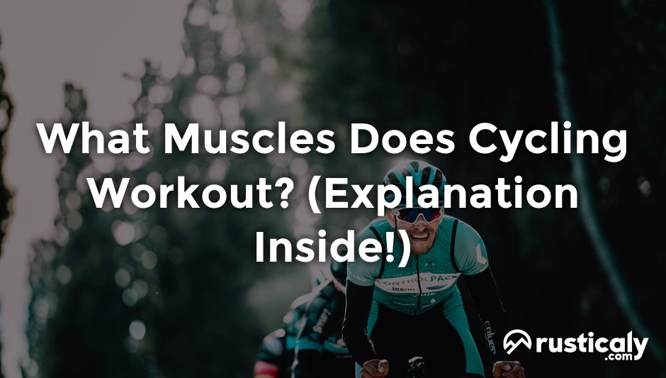 what muscles does cycling workout