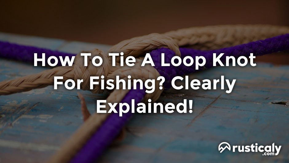 how to tie a loop knot for fishing