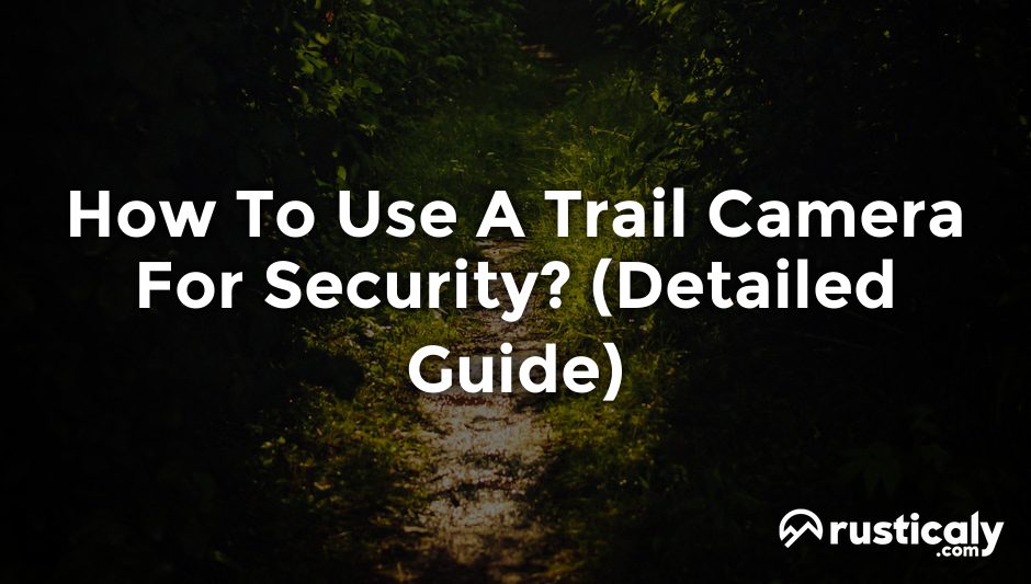how to use a trail camera for security