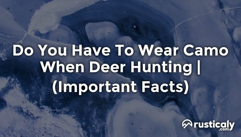 Do You Have To Wear Camo When Deer Hunting - (Important Facts)