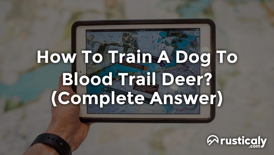 how to train a dog to blood trail deer