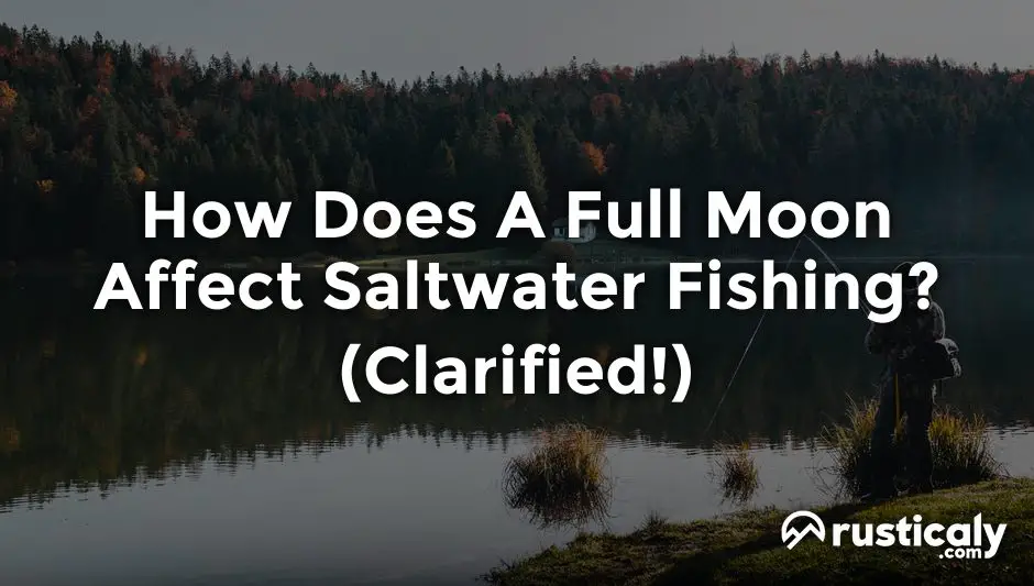 how does a full moon affect saltwater fishing