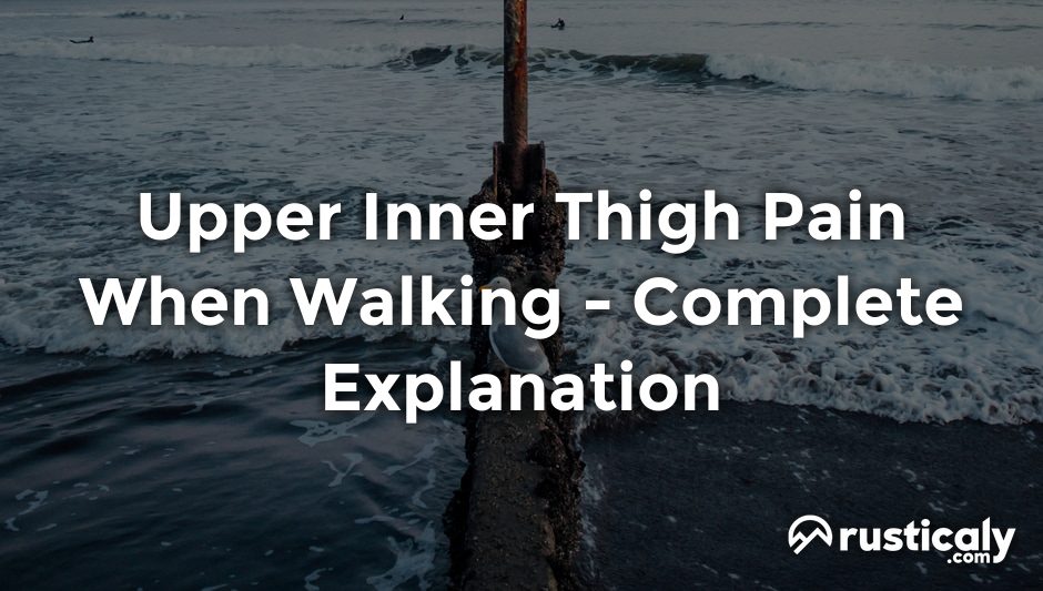 upper inner thigh pain when walking