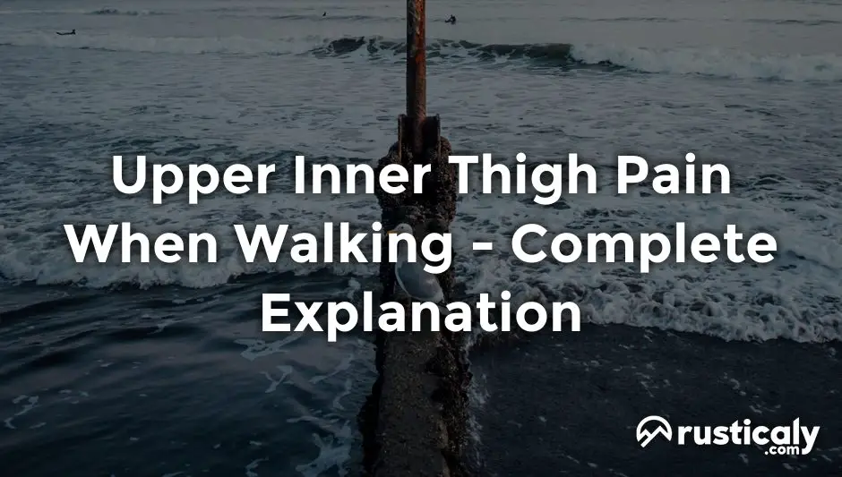 upper inner thigh pain when walking