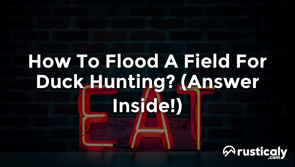 how to flood a field for duck hunting