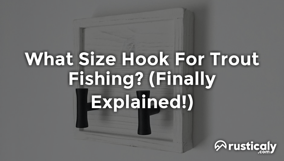 what size hook for trout fishing