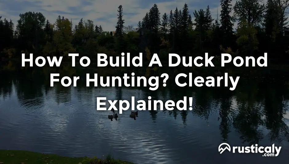 how to build a duck pond for hunting