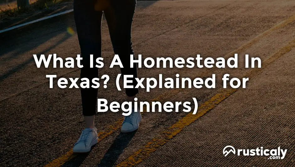 what is a homestead in texas