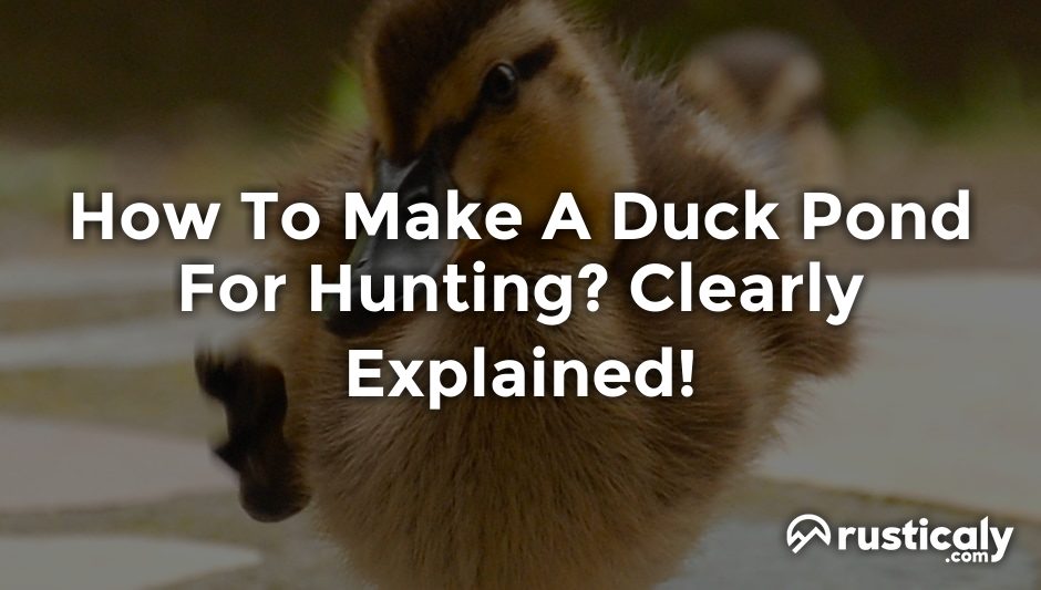how to make a duck pond for hunting