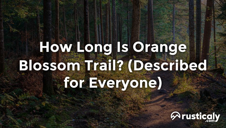 how long is orange blossom trail