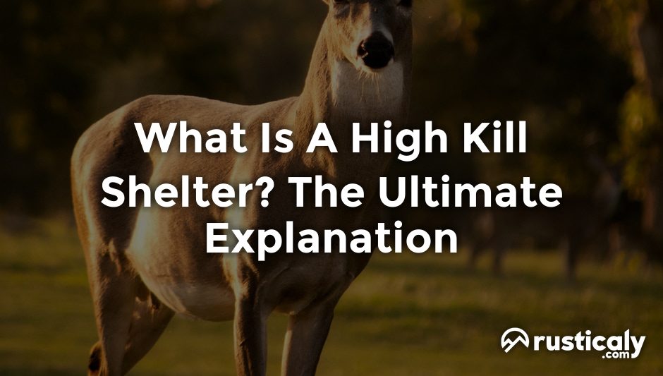 what is a high kill shelter