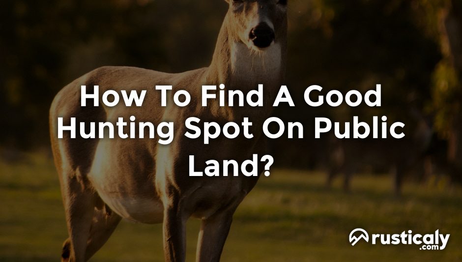how to find a good hunting spot on public land
