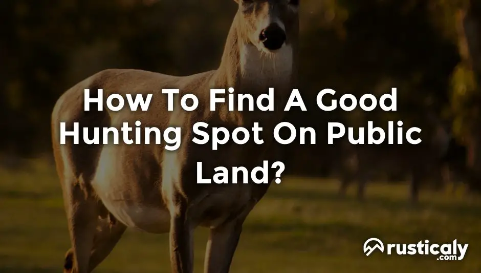 How To Find A Good Hunting Spot On Public Land?