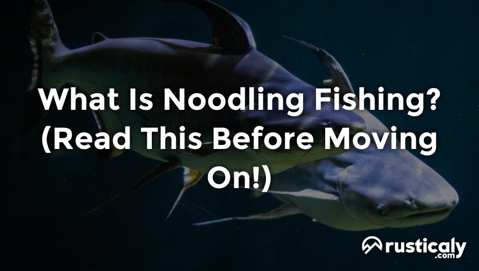 what is noodling fishing