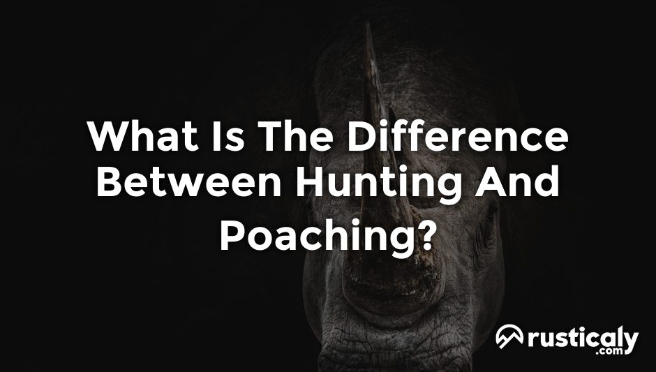what is the difference between hunting and poaching