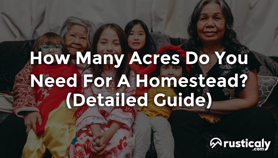 how many acres do you need for a homestead