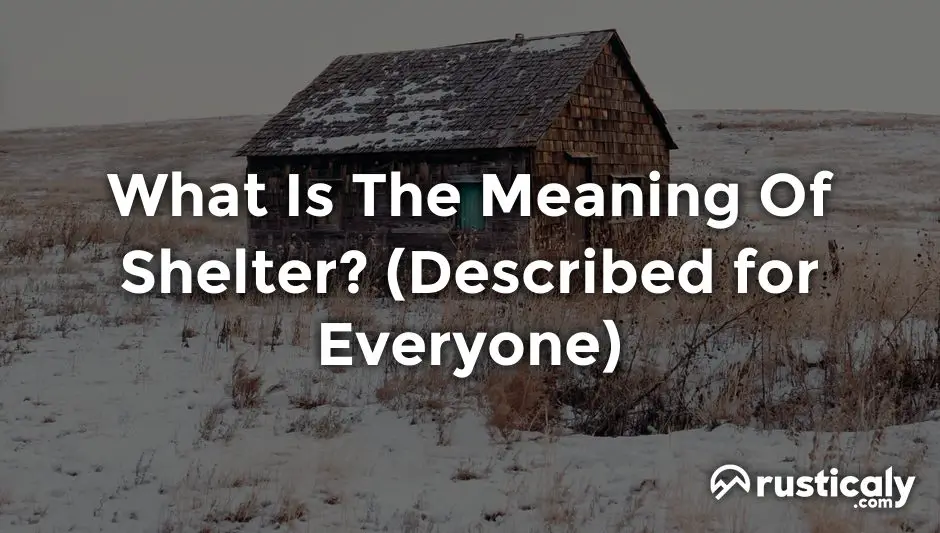 what is the meaning of shelter