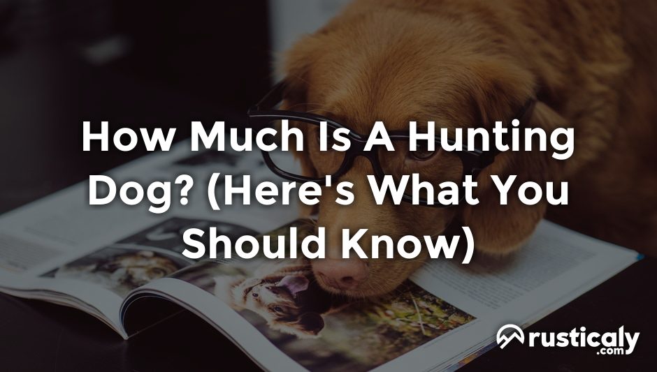 how much is a hunting dog