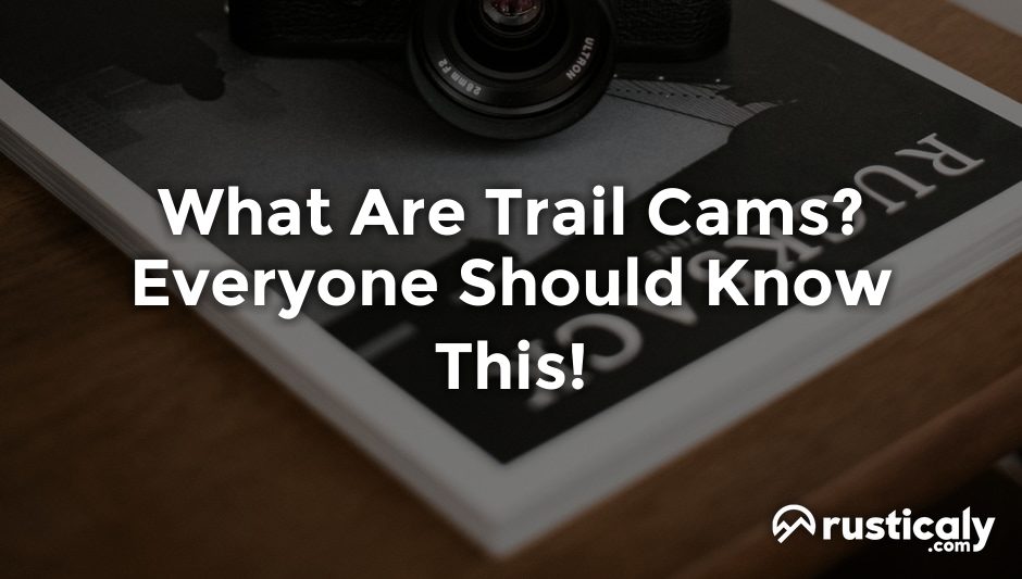 what are trail cams