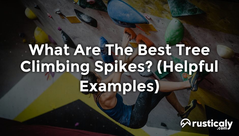 what are the best tree climbing spikes