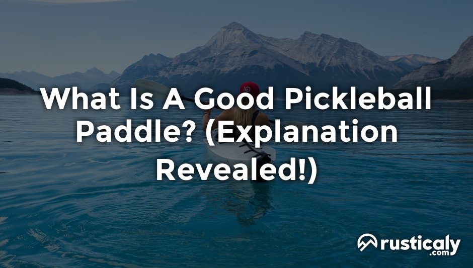 what is a good pickleball paddle