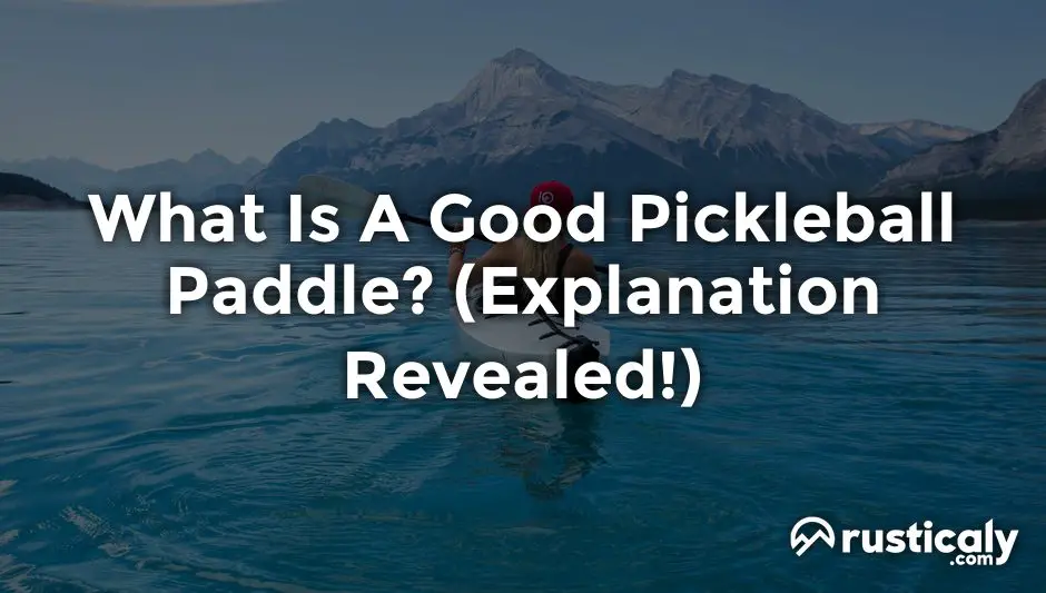 What Is A Good Pickleball Paddle? The Best Explanation