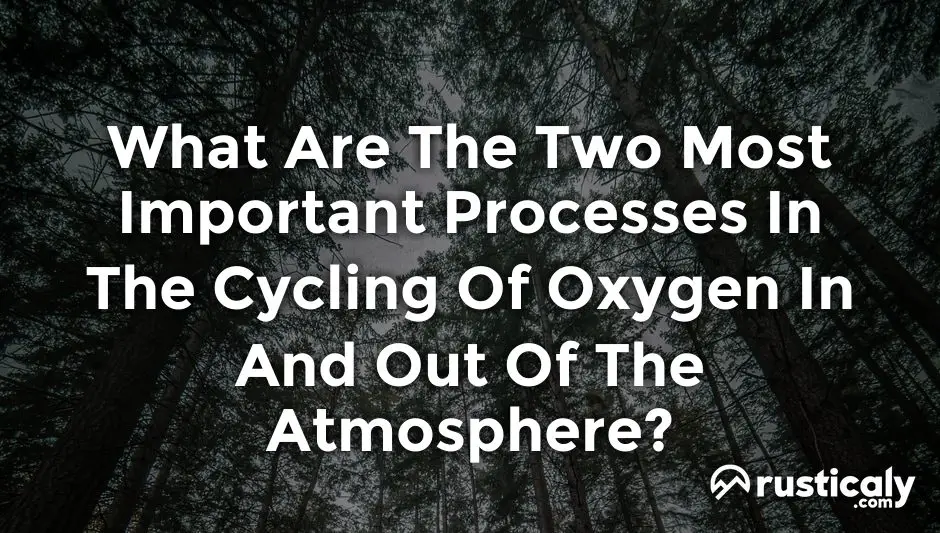 what are the two most important processes in the cycling of oxygen in and out of the atmosphere?