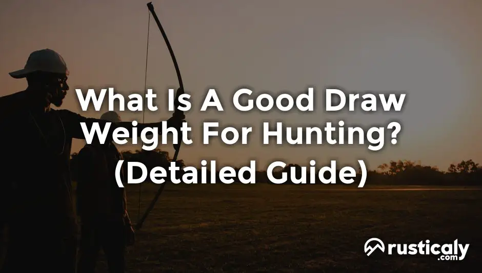 what is a good draw weight for hunting