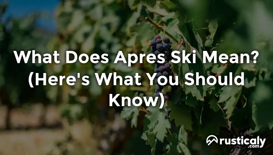 what does apres ski mean